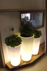 > </div>
<div class=